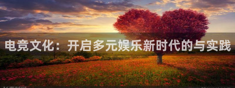 一竞技测速站网址：电竞文化：开启多元娱乐新时代的与实践