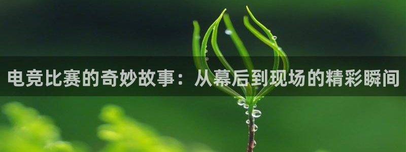 一竞技app：电竞比赛的奇妙故事：从幕后到现场的精彩瞬间