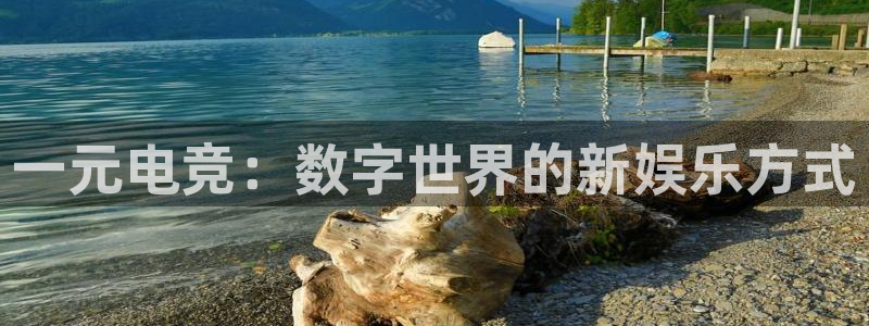 一竞技平台怎么样：一元电竞：数字世界的新娱乐方式