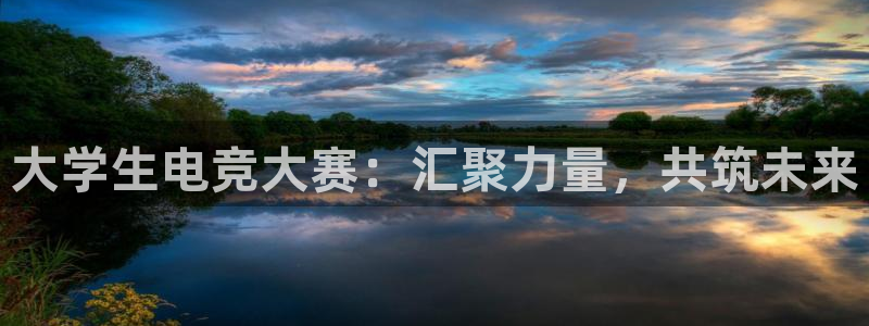 一竞技app官网入口