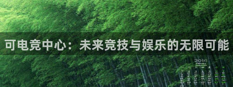 一竞技app下载：可电竞中心：未来竞技与娱乐的无限可能