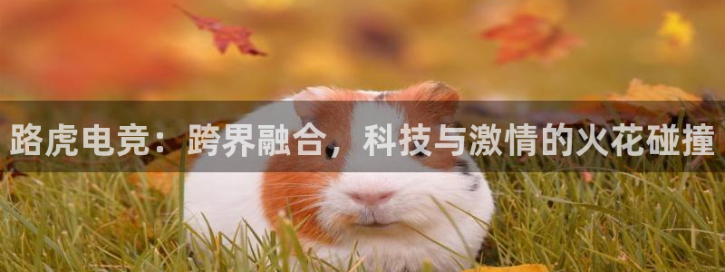 一竞技官方网站入口：路虎电竞：跨界融合，科技与激情的火花碰撞