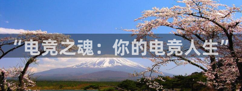 一竞技电竞：“电竞之魂：你的电竞人生”