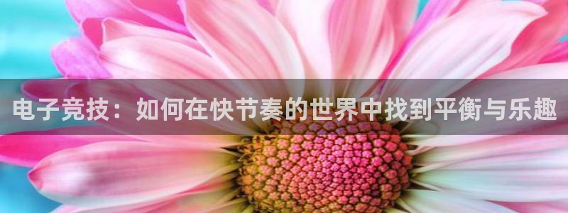世界第一竞技游戏：电子竞技：如何在快节奏的世界中找到平衡与乐趣