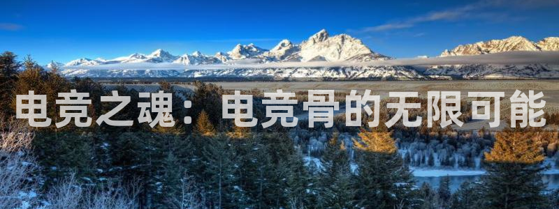 一竞技测速站网址：电竞之魂：电竞骨的无限可能