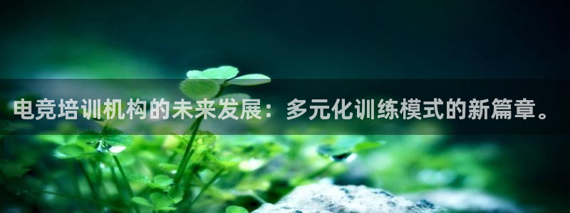 一竞技app官方网站：电竞培训机构的未来发展：多元化训练模式的新篇章。