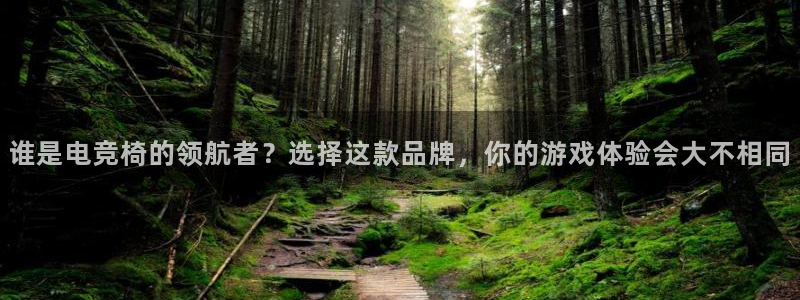 一竞技官网登录入口：谁是电竞椅的领航者？选择这款品牌，你的游戏体验会大不相同