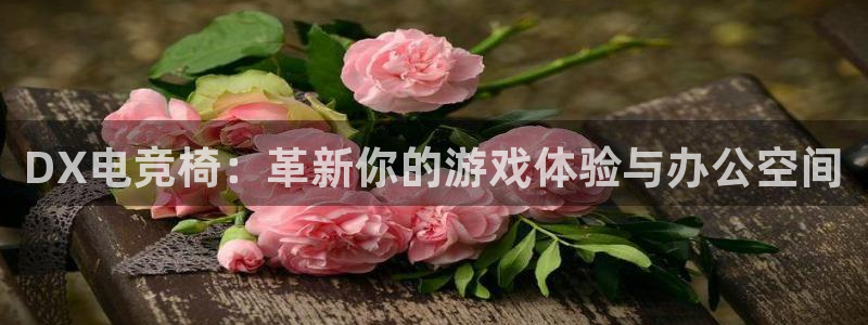 一竞技官方网站入口：DX电竞椅：革新你的游戏体验与办公空间