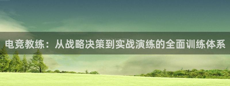 一竞技测速站网址：电竞教练：从战略决策到实战演练的全面训练体系